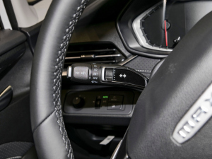 2023PLUS Ҹ] 1.5T Ԅӆ п؅^(q)