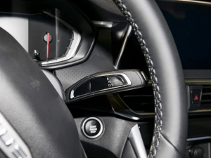 2023PLUS Ҹ] 1.5T Ԅӆ п؅^(q)