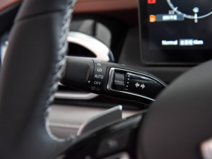 2023�����HH 2.0T ���� �ԄӃ����A����� �п؅^