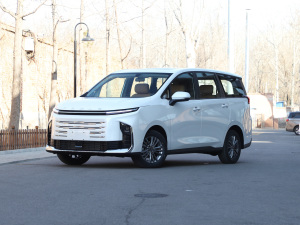 2025款基本型  整体外观