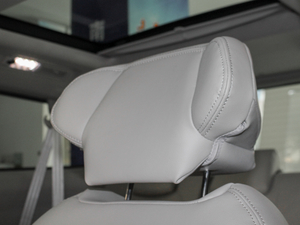 2018PLUS 2.0T Ԅ(dng)A g