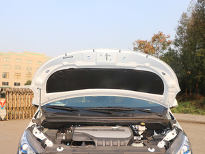 2018PLUS 2.0T ԄӾӢ V 