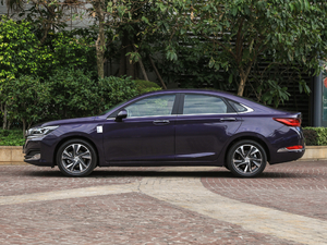 20191.5T CVTǰ V (c)