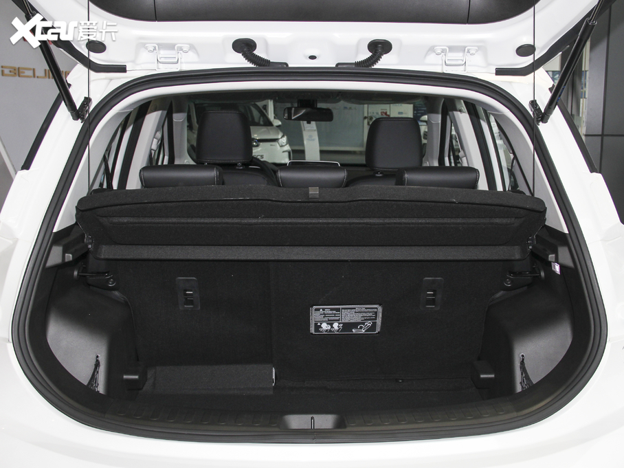 2020BEIJING-EX3 R500 L(fng)