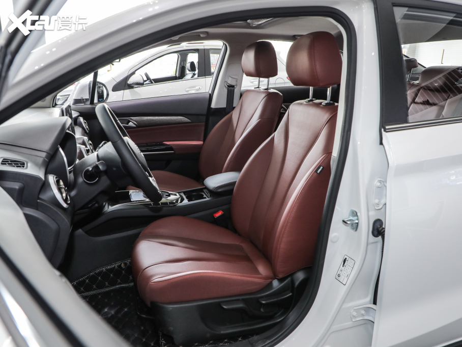 2020BEIJING-EU5  R500 L