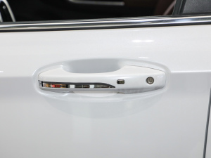 2020(jng) R500 L(fng) {T