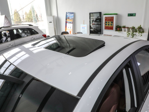 2020(jng) R500 L(fng) ܇