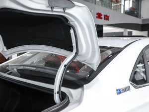 2020(jng) R500 L(fng) 