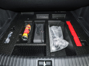 2020(jng) R500 L(fng) 