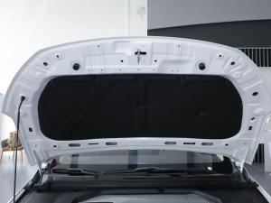 2020(jng) R500 L(fng) 