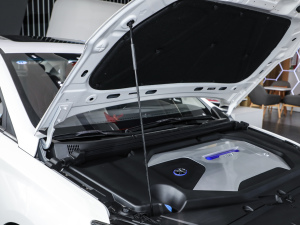 2020(jng) R500 L(fng) 