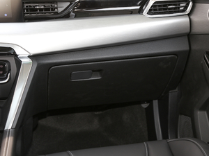 20201.5T CVTsҫPLUS g