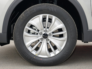 20201.5TD ք(dng)L(fng) ݆Ȧ