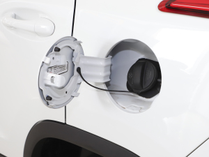 20211.5T ք(dng)sҫ w