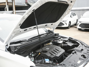 2021款1.5L 手动豪华版 其它
