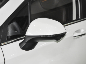2021款1.5T CVT尊贵版 后视镜