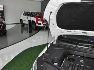 2021款1.5T CVT尊贵版 其它