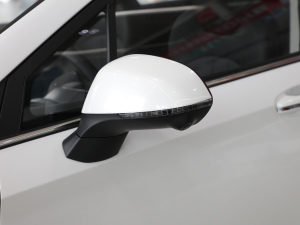 2021款1.5L 手动尊贵版 后视镜