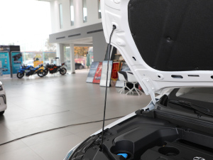 2021款1.5L 手动尊贵版 其它