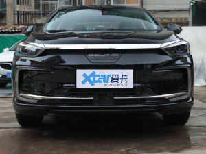 2022款逸风版 中网