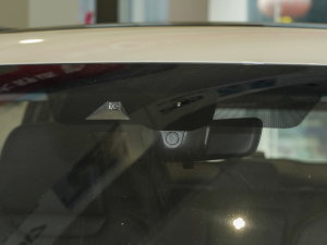 20231.5TD DCT+ (ji)^