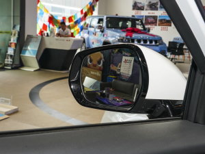 20231.5TD DCT+ (ji)^