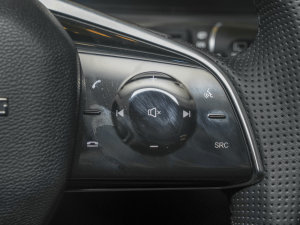 20231.5TD DCT+ {(dio)(ji)