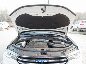 2018{(ln)(bio) 2.0T ԄӃ(q) 