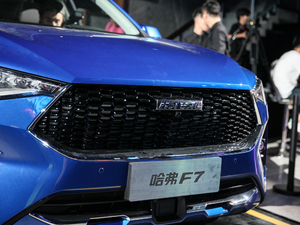 2019款技术前瞻版 细节外观