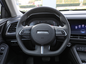 2019款2.0T 两驱i范 国V 方向盘
