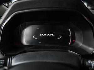 2019款1.5T 两驱i型 国V 仪表