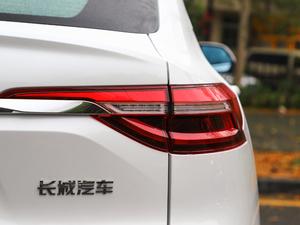 2019款1.5T 极智科技版  尾灯