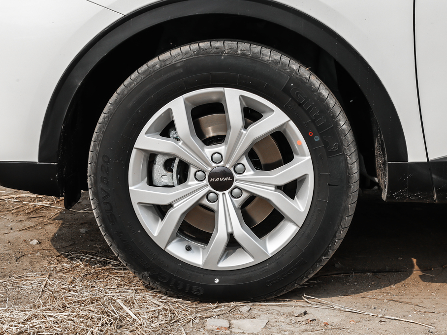 2019H6 {(bio) 1.5GDIT ܊