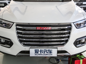 2019款红标 1.5GDIT 冠军版 中网