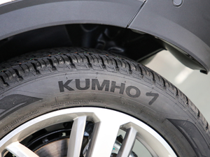 2019款红标 1.5GDIT 冠军版 轮胎品牌