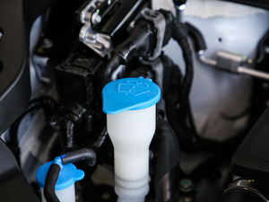 20191.5GDIT ԄӺA V 