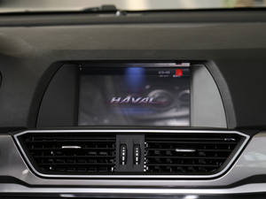 2019款运动版 1.5T 自动精英型 国VI 中控台显示屏