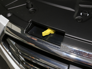 2019款运动版 1.5T 自动精英型 国VI 其它