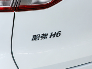 2019款1.5GDIT 自动冠军版 国VI 细节外观