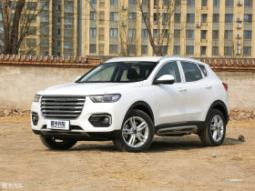 2019�����H4 