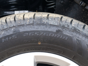 20202.0T Ԅ 5 ݆̥ߴ