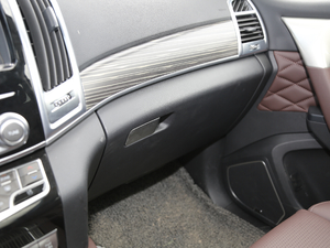 20202.0T Ԅ(dng)F 7 g