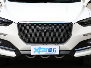 2019款国潮版 1.5T i潮 国VI 中网