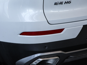 2020款1.5GDIT 自动铂金冠军版 细节外观