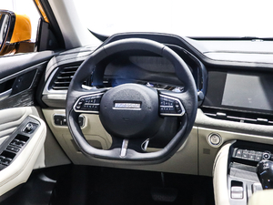 2020款基本型 方向盘