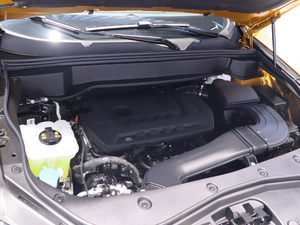 2020款基本型 其它