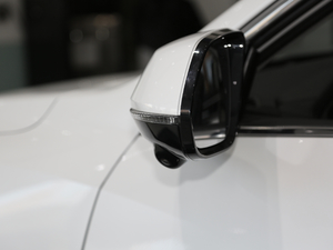 20201.5T (q)i (x)(ji)^