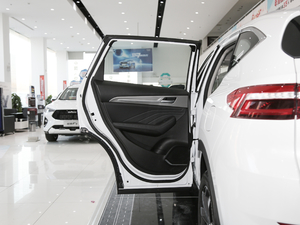 2020款1.5T 两驱i潮 左后车门