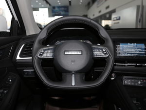 2020款1.5T 两驱i潮 方向盘