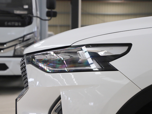 20202.0T (q)i(dng) (x)(ji)^